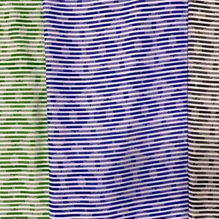 Cotton Hybrid No. 18